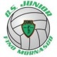 AGF G.S. Junior A.D.